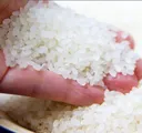 Thumbnail 4 of UONUMA Japanese Urichi Koshihikari Rice from Uonuma Niigata (Made in Japan) 2kg x 4 bags