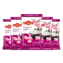 Thumbnail 1 of SANDEE Jasmine Rice 100% Pink 5 kg x 5