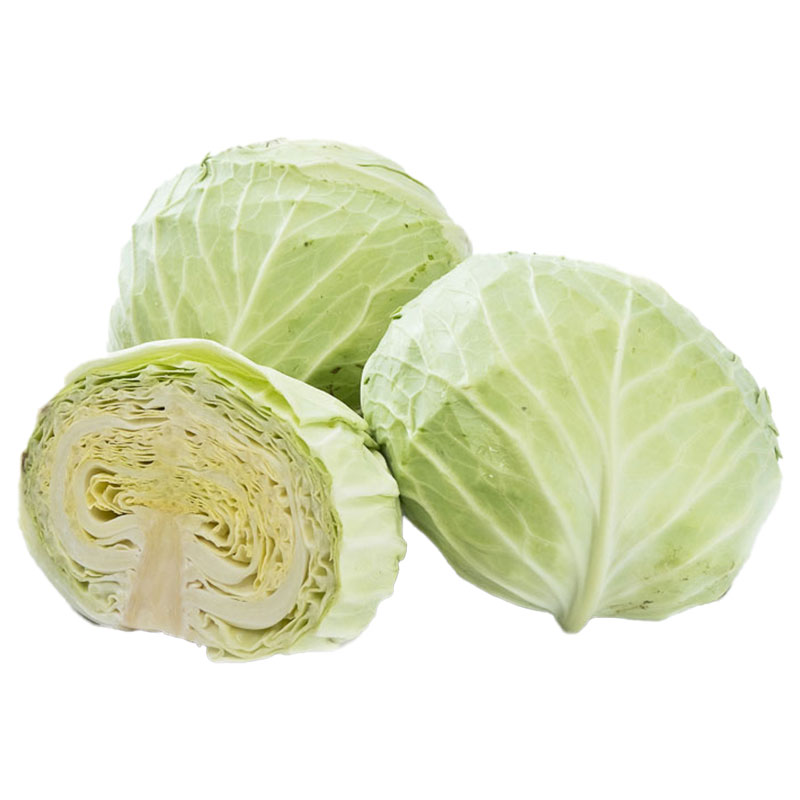 ROYAL PROJECT Cabbage