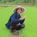 Thumbnail 4 of บ้านไร่ต้นฝัน ข้าวกล้องงอกผง หอมมะลิ ออร์แกนิค แป้งข้าวกล้องงอกหอมมะลิ GABA Hommali Powder 3 แพ็ค