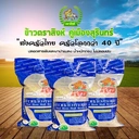 Thumbnail 4 of ตราสิงห์ ข้าวกล้องหอมมะลิ สุรินทร์ จมูกข้าวสมบูรณ์ ปลอดสาร 5 กก. แพ็ค 1 ถุง