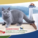 Thumbnail 3 of คานิว่า อาหารแมว สูตรสำหรับแมวเลี้ยงภายในบ้าน เนื้อปลาแซลมอน ขนาด 370 ก.