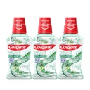 Thumbnail 1 of คอลเกต น้ำยาบ้วนปาก พลักซ์ เฮอร์เบิล ดีทอกซ์ 250 มล. x 3