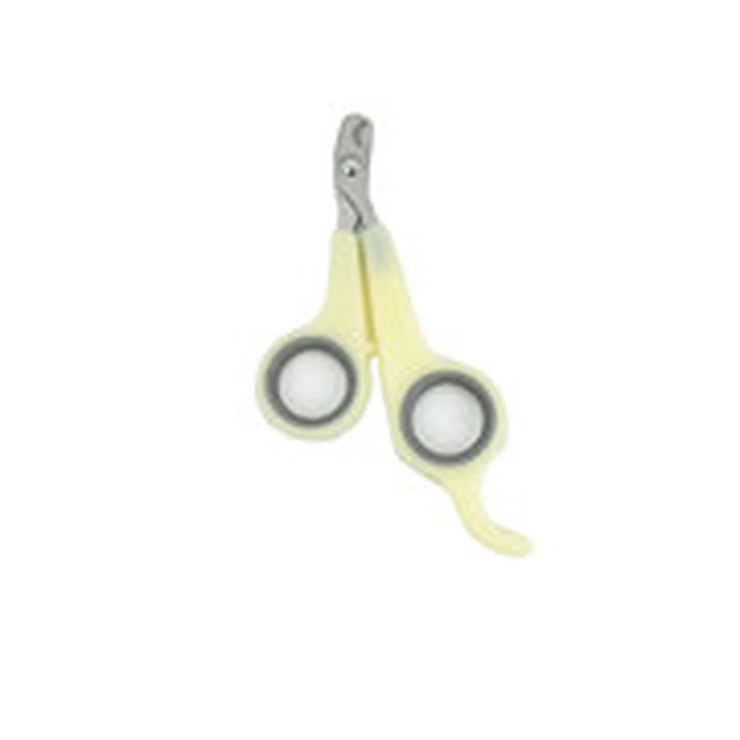 product-main-image