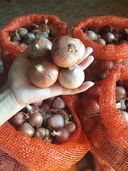 Thumbnail 4 of แม่จงจิตร หอมเจียว ทอดกรอบ 500กรัม รสหวานอ่อนๆ จากหอมแดง ไม่ใส่ผงชูรส ทอดในน้ำมันปาล์ม กรอบน๊าน นานนนน