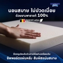 Thumbnail 3 of Midas ที่นอน รุ่น FREEDOM X ขนาด 6 ฟุต แถมฟรีหมอนหนุน 2 ใบ