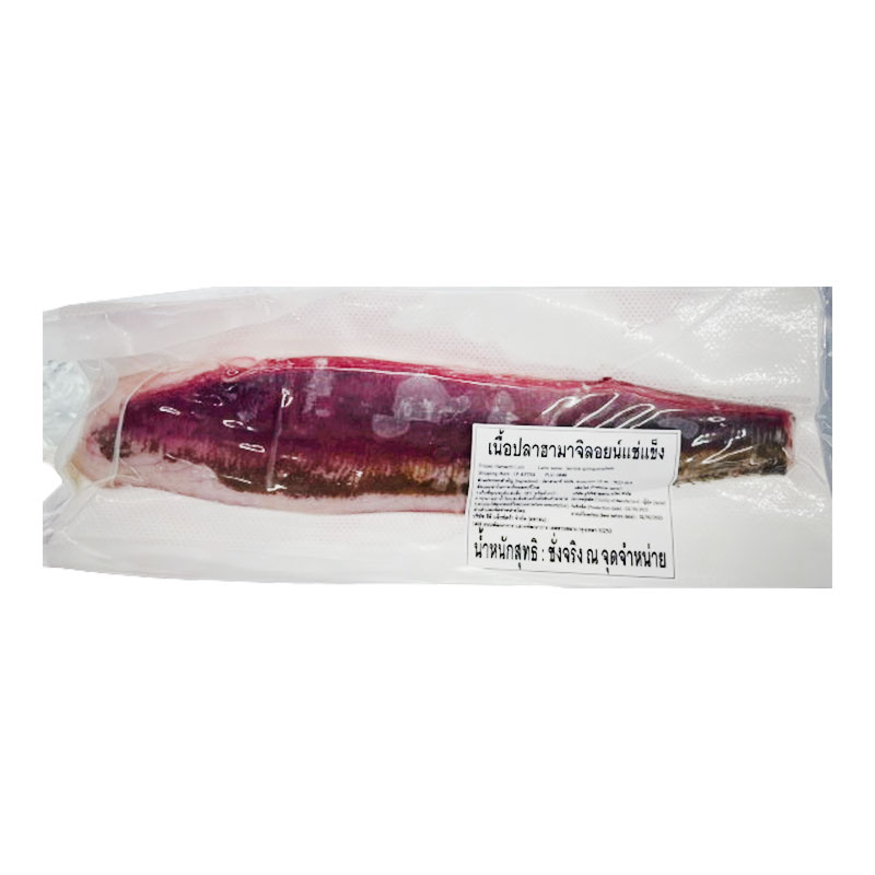 Frozen Hamachi Loin (approx 500 g)