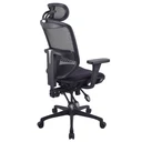 Thumbnail 3 of Ergotrend เก้าอี้เพื่อสุขภาพเออร์โกเทรน รุ่น ERGO-JOY-PLUS