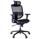 Thumbnail 4 of Ergotrend เก้าอี้เพื่อสุขภาพเออร์โกเทรน รุ่น ERGO-JOY-PRO