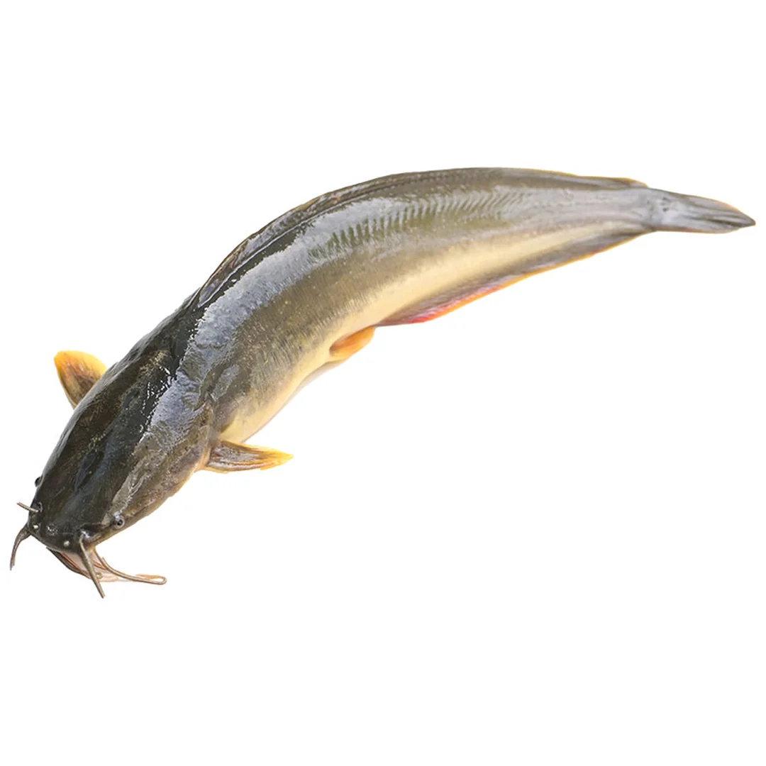 product-main-image