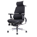 Thumbnail 2 of Ergotrend เก้าอี้เพื่อสุขภาพเออร์โกเทรน รุ่น Ultimate Malmo