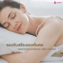 Thumbnail 4 of LOTUS หมอนหนุน MICROFIBER - Medium