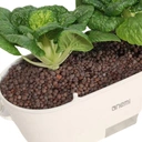 Thumbnail 3 of เครื่องปลูกผักอัจฉริยะควบคุมอุณหภูมิความชื้นในดินดินความอุดมสมบูรณ์ สีขาว