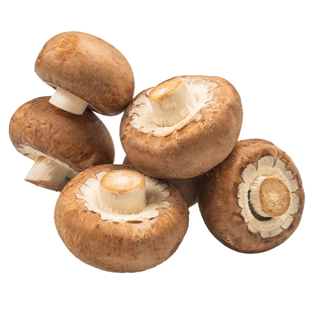 product-main-image