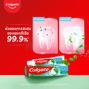 Thumbnail 5 of COLGATE Toothpaste Salt Herbal 75 g x 12