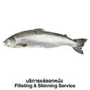 Thumbnail 1 of ปลาแซลมอนสดนอร์เวย์ บริการแล่ลอกหนัง 1 ตัว (ประมาณ 5-6 กก./ตัว)