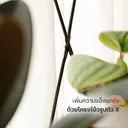 Thumbnail 5 of HomeHuk ชั้นวางของไม้ 4 ชั้น โครงเหล็ก ท็อปไม้ 60 x 32.5 x 148 ซม. สีบีช