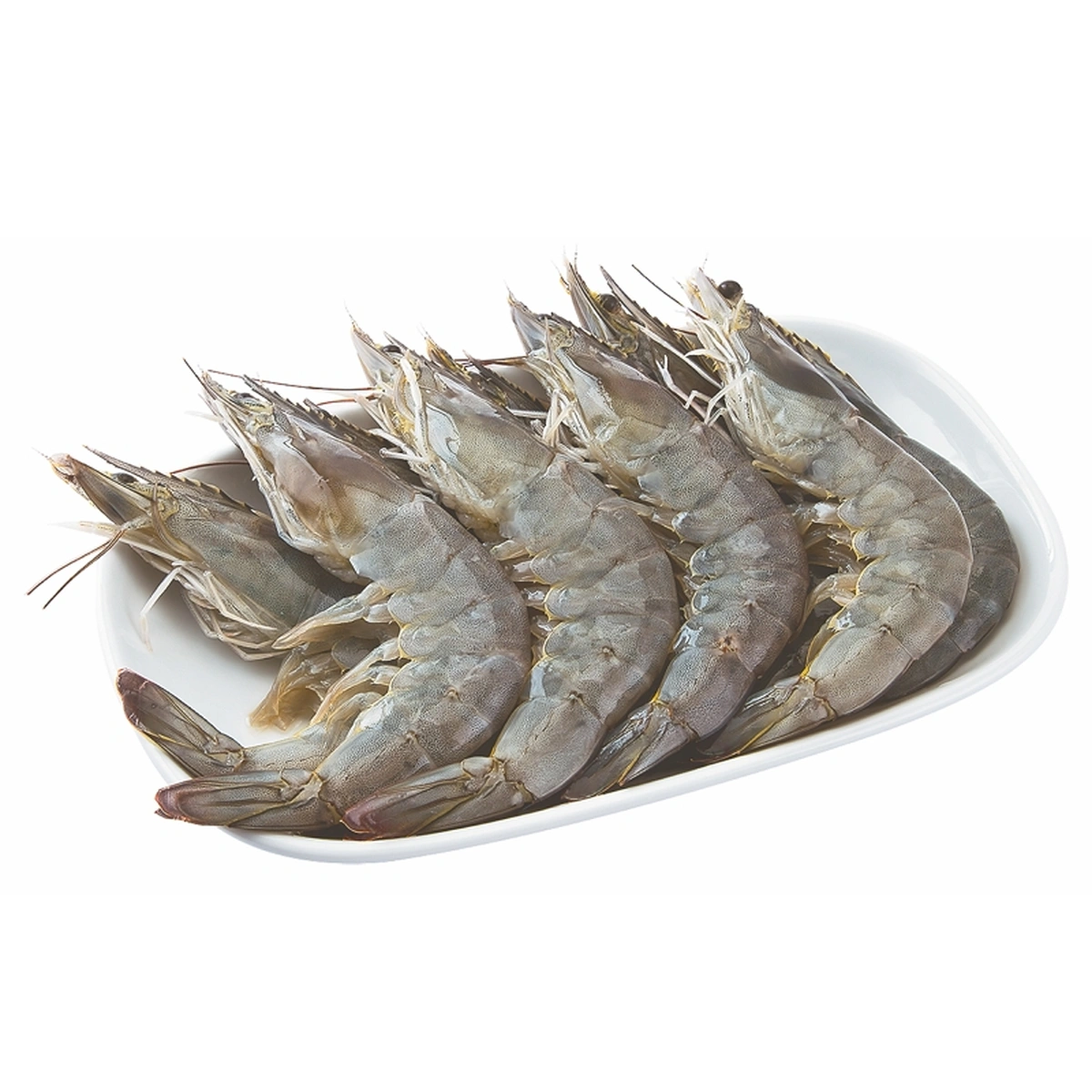 White Shrimp - Large Frozen Thawed 1 kg