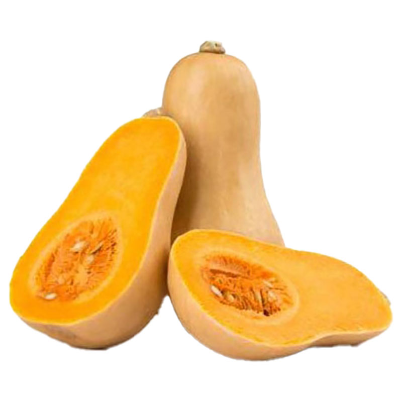 ROYAL PROJECT Butternut Squash
