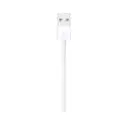 Thumbnail 3 of Apple Lightning to USB Cable (1m)