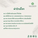 Thumbnail 3 of ฝาเรียบรักษ์โลก (16,20,22 ออนซ์) สีใส 1 ลัง