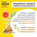 Thumbnail 3 of เวลเดนท์ สเปรย์สำหรับช่องปาก พลัสสารสกัดโพรพอลิสและกระชายขาว 18 มล.