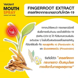 Thumbnail 3 of เวลเดนท์ สเปรย์สำหรับช่องปาก พลัสสารสกัดโพรพอลิสและกระชายขาว 18 มล.