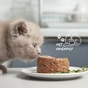 Thumbnail 4 of โซแกนิคส์ น้ำยาล้างจาน สูตรธรรมชาติ ถนอมมือ กลิ่นและสารสกัดจากอโลเวร่า 500 มล. x12 ขวด