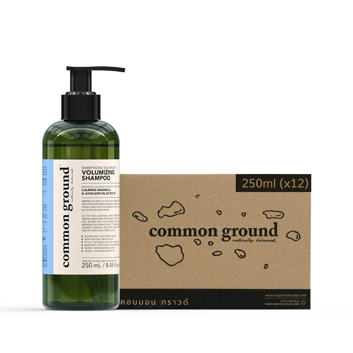 Common Ground Volumizing Shampoo - Botanical 250mL x12
