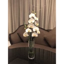 Thumbnail 3 of โหลแก้ว แก้วทรงกระบอกสูง 30 cm. สำหรับจัดดอกไม้ แก้วทรงสูง HD-3010