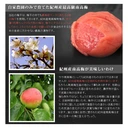 Thumbnail 3 of KOTAKE NOHEN Pickled Umeboshi Ichiban Shiro - Lightly Salted (Made in Japan) 1kg x 2 bottles