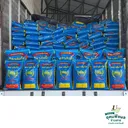 Thumbnail 5 of ส้มโอ ข้าวหอมมะลิแท้กลางปี100% หอม อร่อย นุ่มนวล มาตรฐานส่งออก ขนาด 15 กก. ของแท้แน่นอนจากตัวแทนขายโดยตรงโรงสี