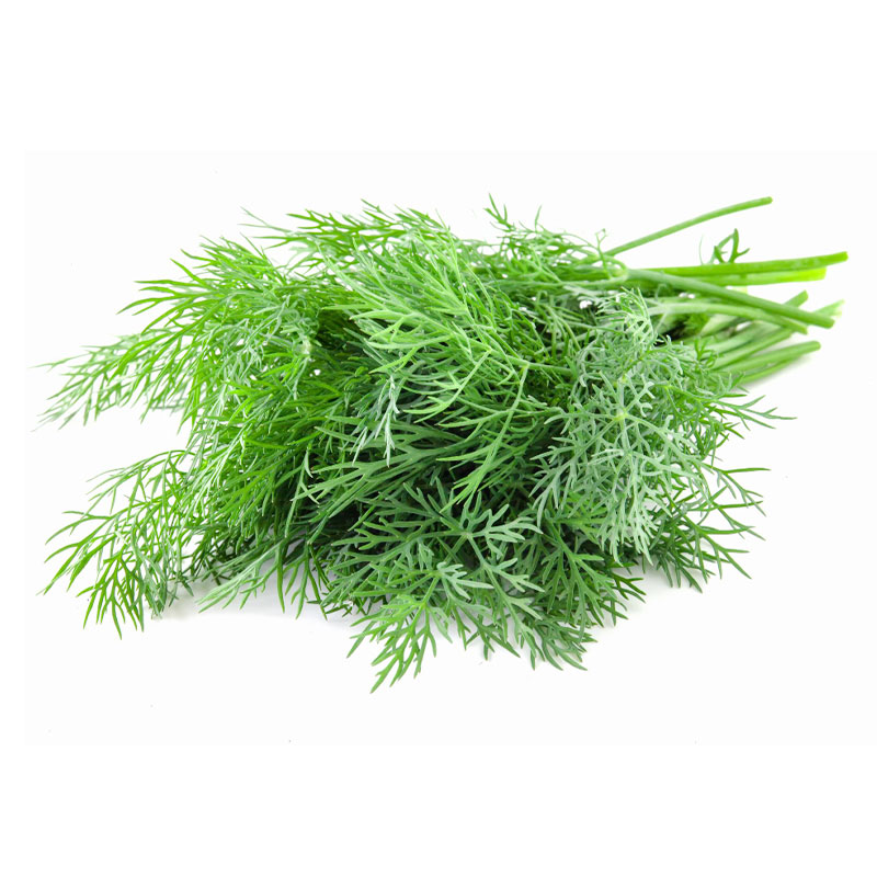 ผักชีลาวอินทรีย์ 150 ก.