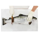 Thumbnail 2 of Fresh Norwegian Salmon Scale Removing Service 1 pc (approx. 5-6 kg/pc)