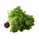 Thumbnail 2 of ผักสลัดฟรีเลย์ไอซ์เบิร์ก ไฮโดรฯ