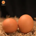 Thumbnail 4 of ซีพี ไข่ไก่ เบอร์ 2 10 ฟอง