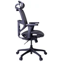 Thumbnail 3 of Ergotrend เก้าอี้เพื่อสุขภาพเออร์โกเทรน รุ่น ERGO-JOY-PRO