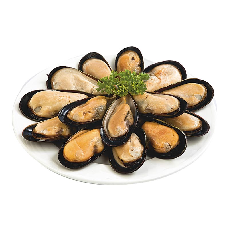 ST.ANDREWS Frozen Chilean Half Shell Mussel 40-60 pcs