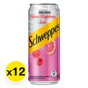 Thumbnail 2 of SCHWEPPES Citrus Raspberry Soda No Sugar 330 ml x 12