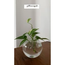 Thumbnail 3 of โหลแก้ว แก้วทรงกลม สำหรับจัดดอกไม้หรือใส่ของ V-1000-5