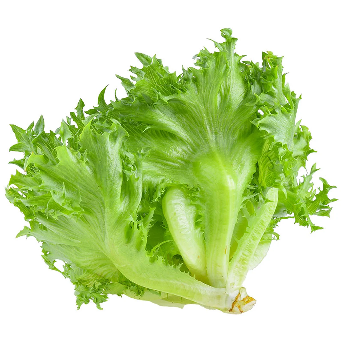 สลัดฟิลเล่ย์ 300 ก.