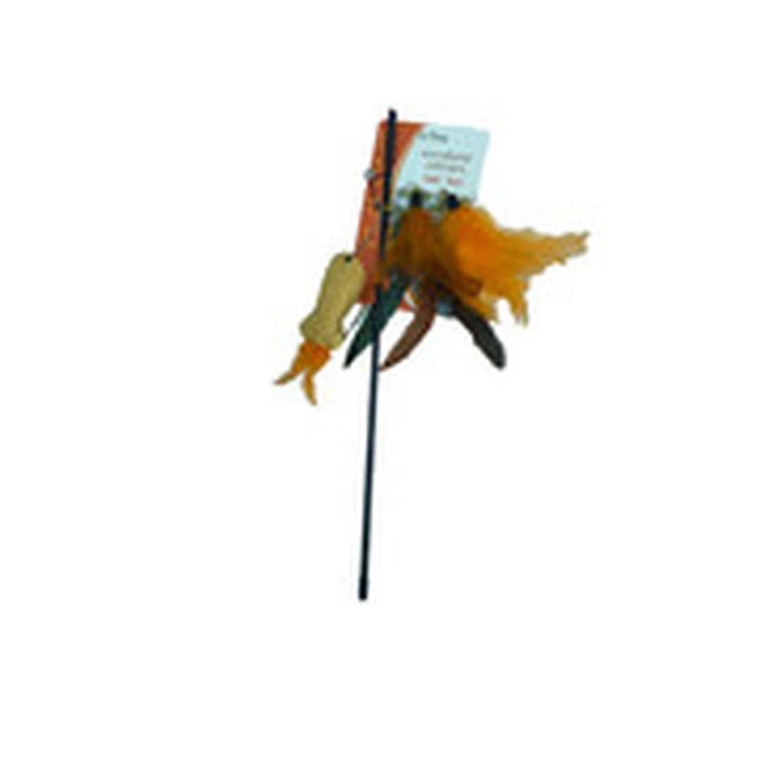 product-main-image