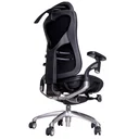 Thumbnail 4 of Ergotrend เก้าอี้เพื่อสุขภาพเออร์โกเทรน รุ่น Ultimate Portsea