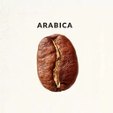 Thumbnail 3 of ฟอนทาน่า เมล็ดกาแฟคั่ว ไฮแลนด์ อาราบิก้า 100% 500 ก.