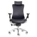 Thumbnail 1 of Ergotrend เก้าอี้เพื่อสุขภาพเออร์โกเทรน รุ่น Ultimate Portsea