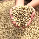 Thumbnail 3 of LZA เมล็ดกาแฟคั่วกลาง อาราบิก้าดอยช้า ขนาด 250 กรัม