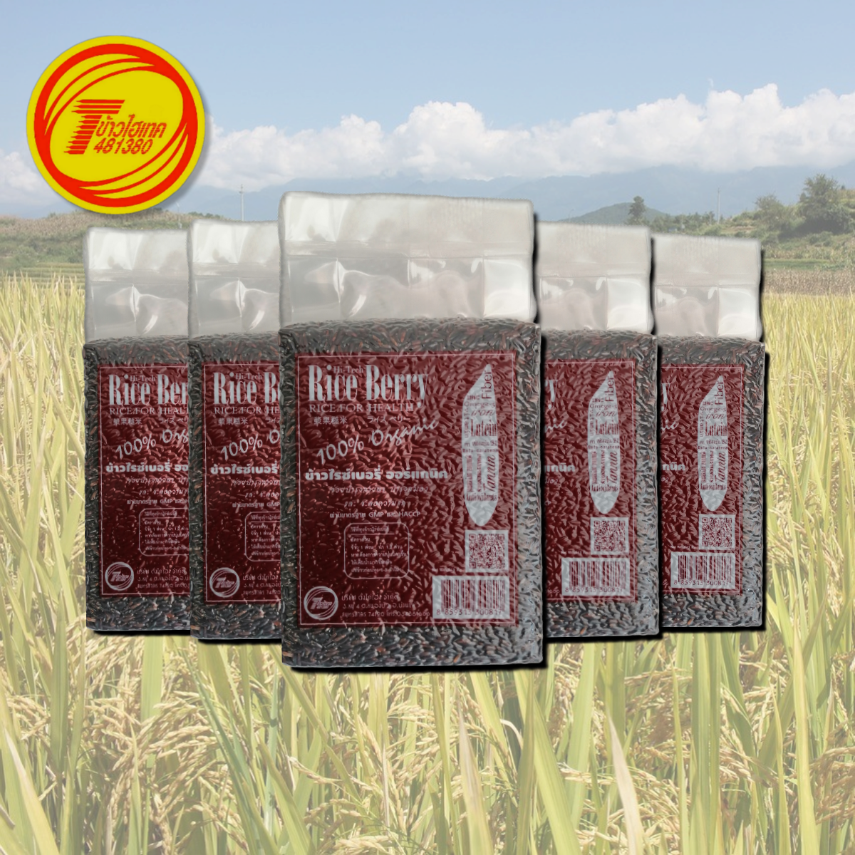 ไฮเทค ข้าวไรซ์เบอรี่ 1 กก. x 12 ถุง
