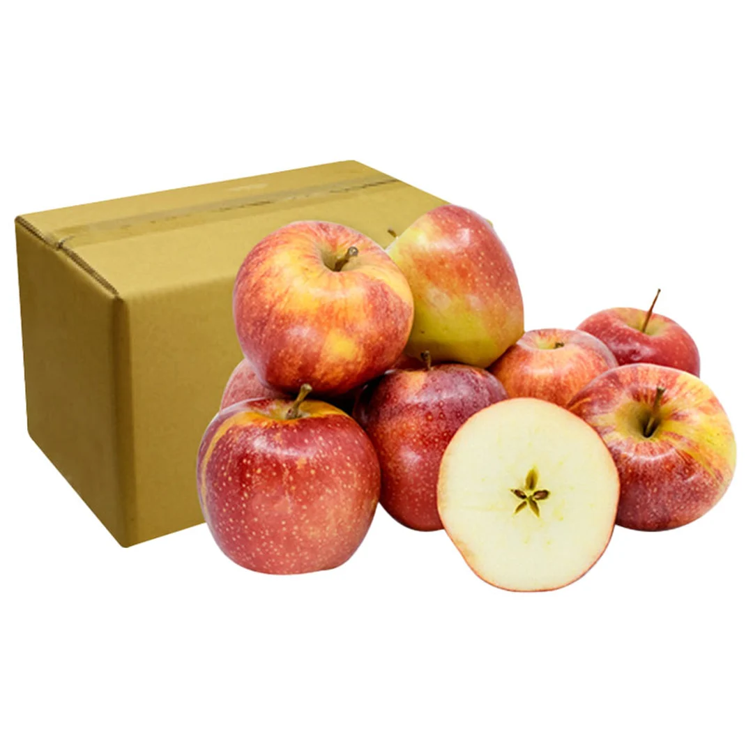 product-main-image