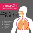 Thumbnail 2 of กรีนพลัส น้ำยาดันฝุ่น (สูตรน้ำ) สีชมพูน้ำนม 20ลิตร