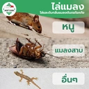 Thumbnail 3 of MostClean น้ำยาฆ่าเชื้อดับกลิ่น Xylon 370 มล. เข้มข้น ทำความสะอาดที่สกปรกมาก กลิ่นเหม็นฉุน ฆ่าเชื้อโรค ใช้ในบ้านและนอกบ้าน